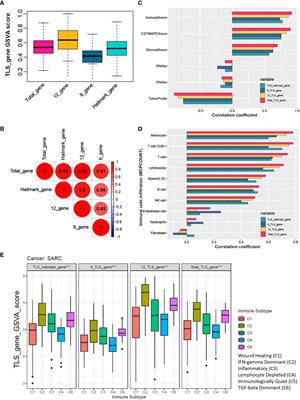 Identifying specific TLS-associated genes as potential biomarkers for predicting prognosis and evaluating the efficacy of immunotherapy in soft tissue sarcoma